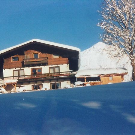 Haus Elsa Διαμέρισμα Ramsau am Dachstein Εξωτερικό φωτογραφία