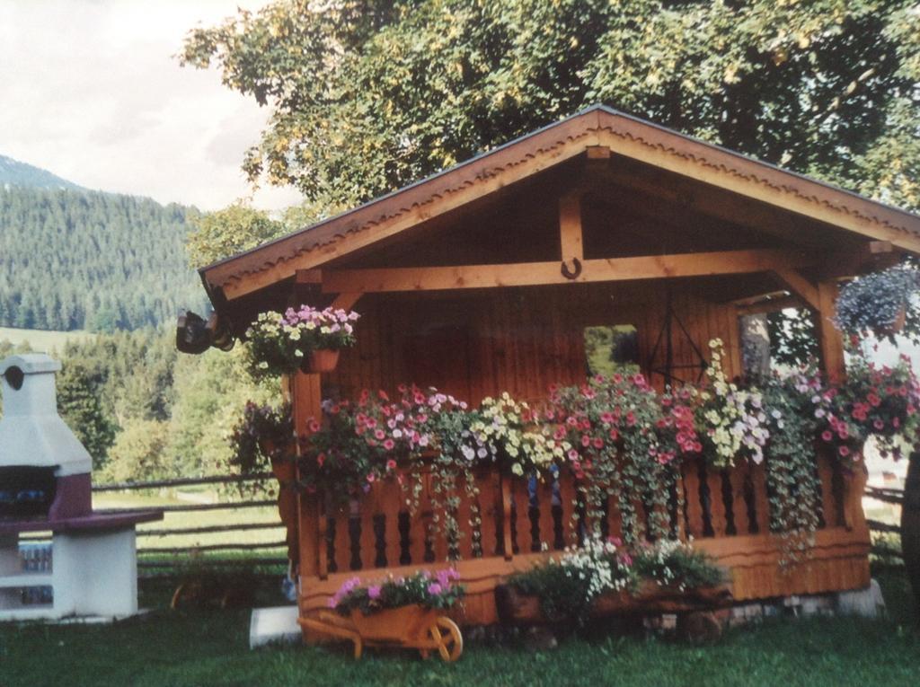 Haus Elsa Διαμέρισμα Ramsau am Dachstein Εξωτερικό φωτογραφία
