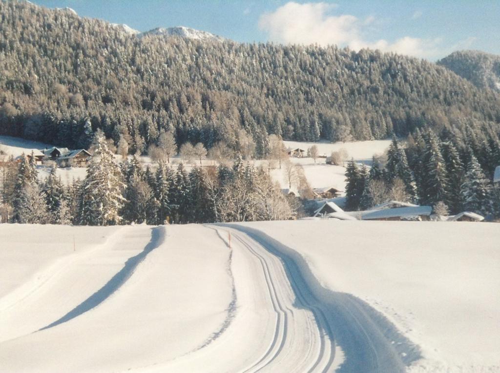 Haus Elsa Διαμέρισμα Ramsau am Dachstein Εξωτερικό φωτογραφία